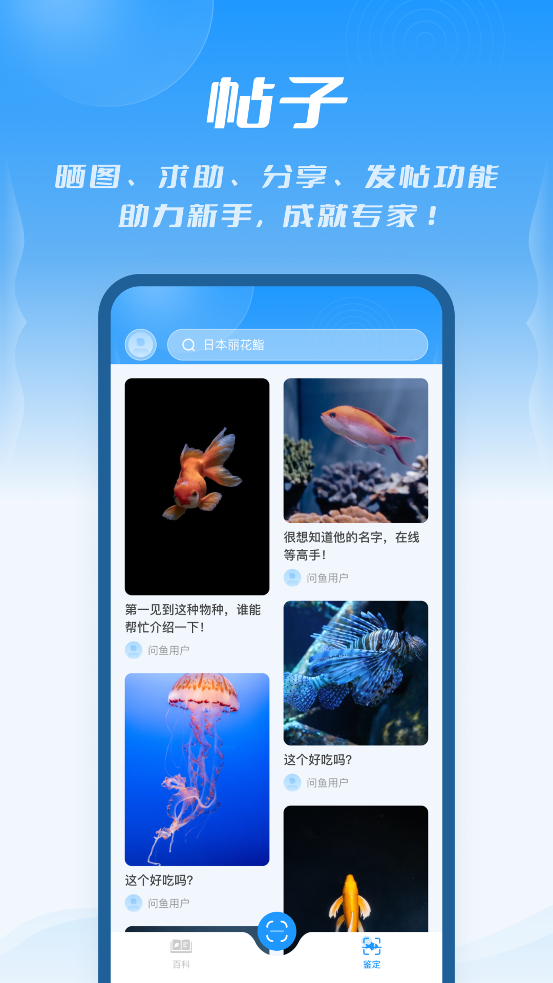 问鱼 截图 3