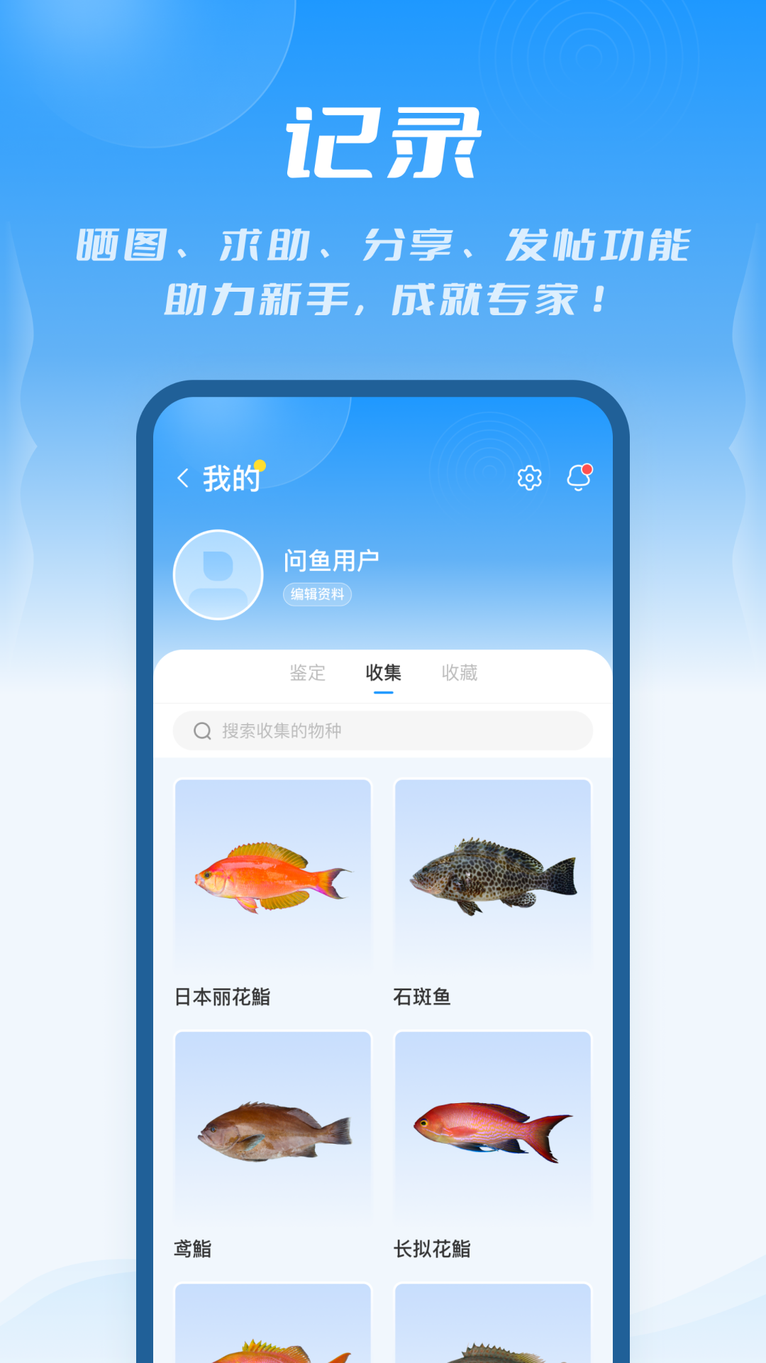 问鱼 截图 4