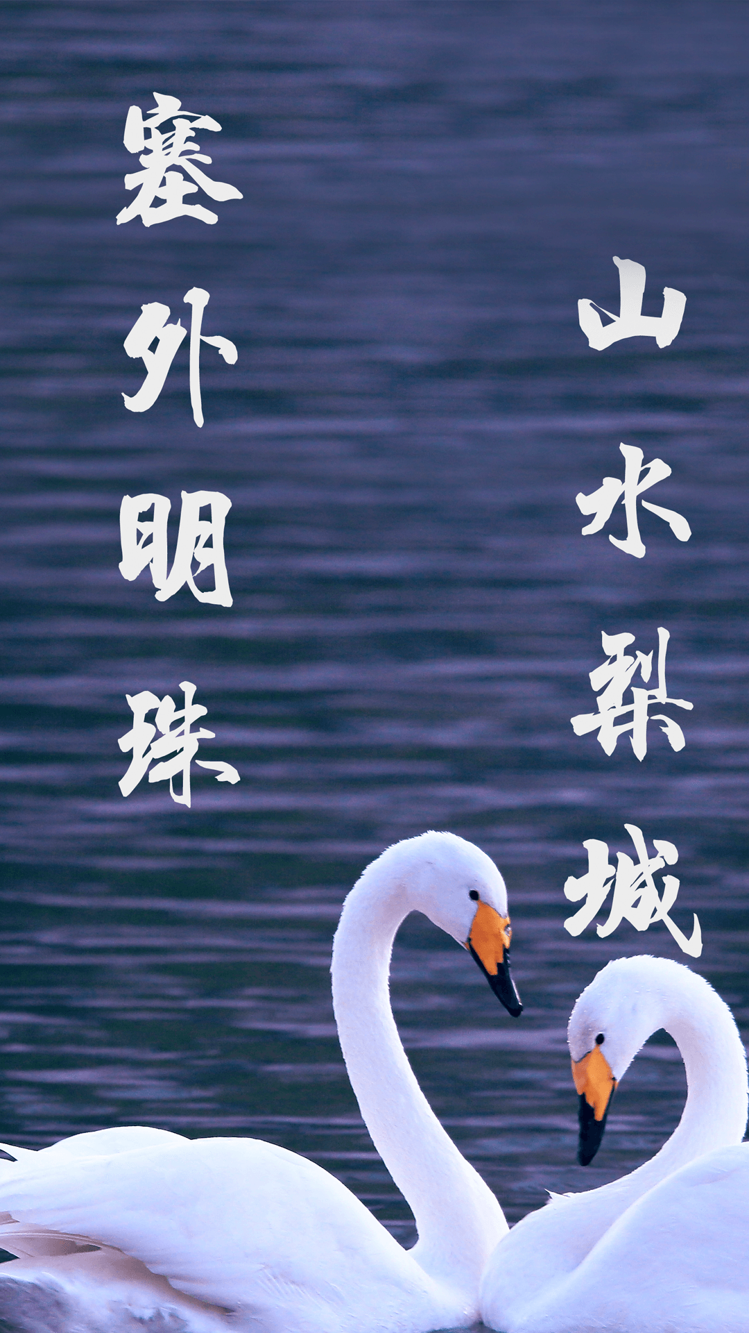 库尔勒好地方 截图 2
