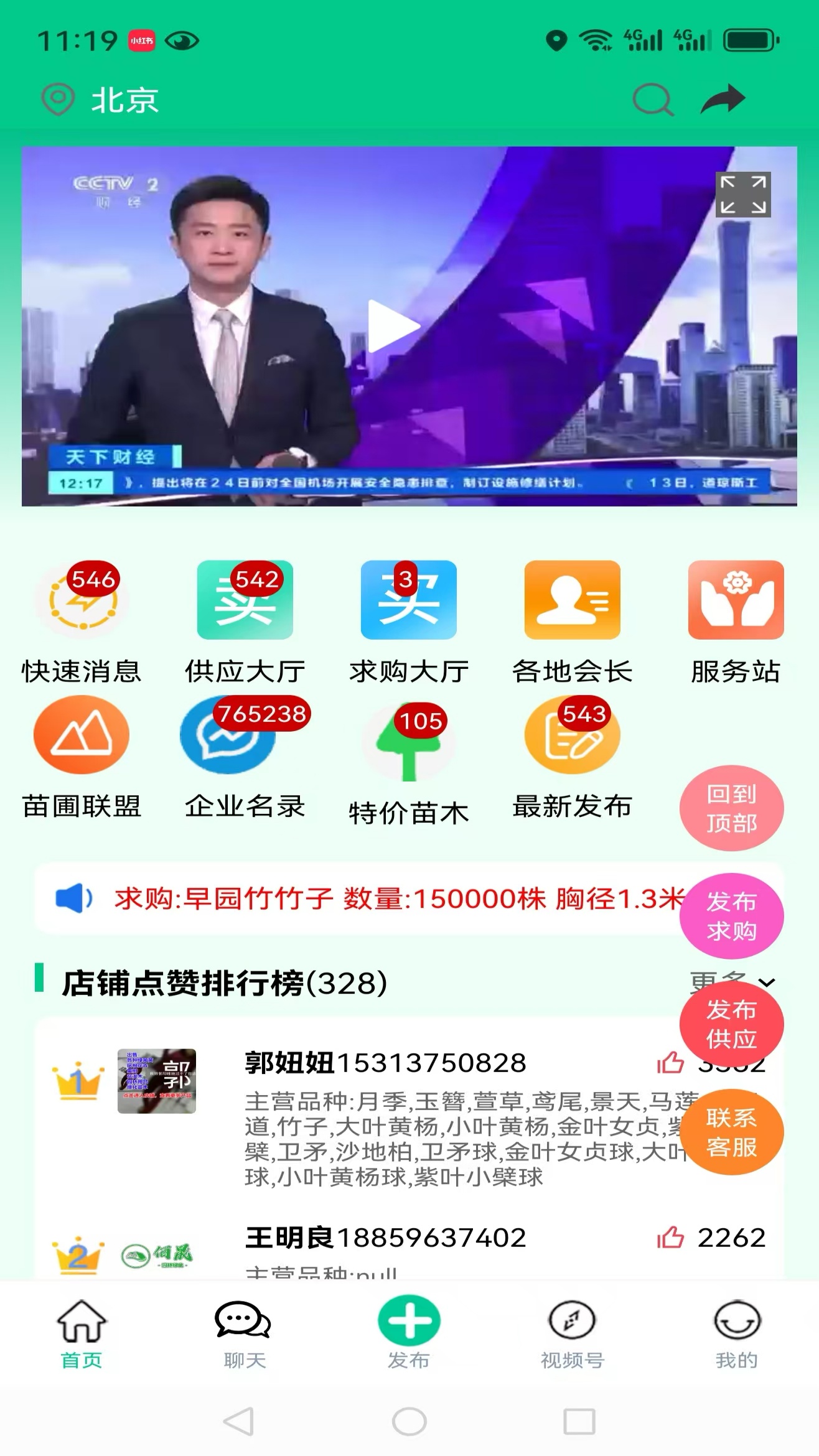 苗木人 截图 1