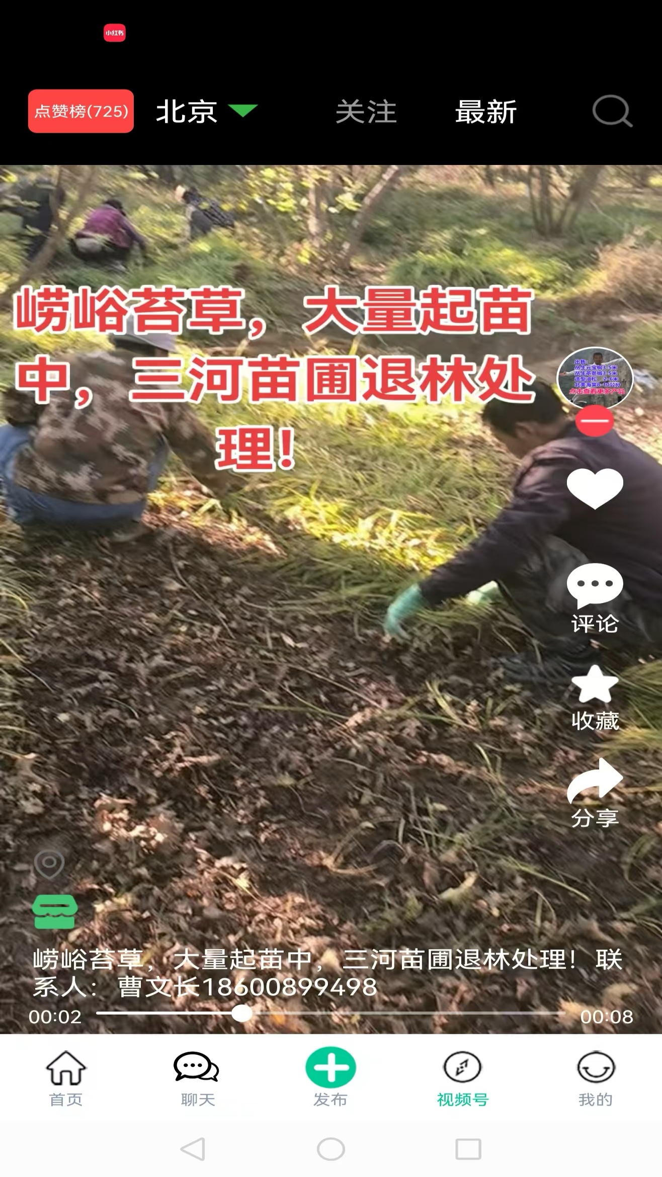 苗木人 截图 5