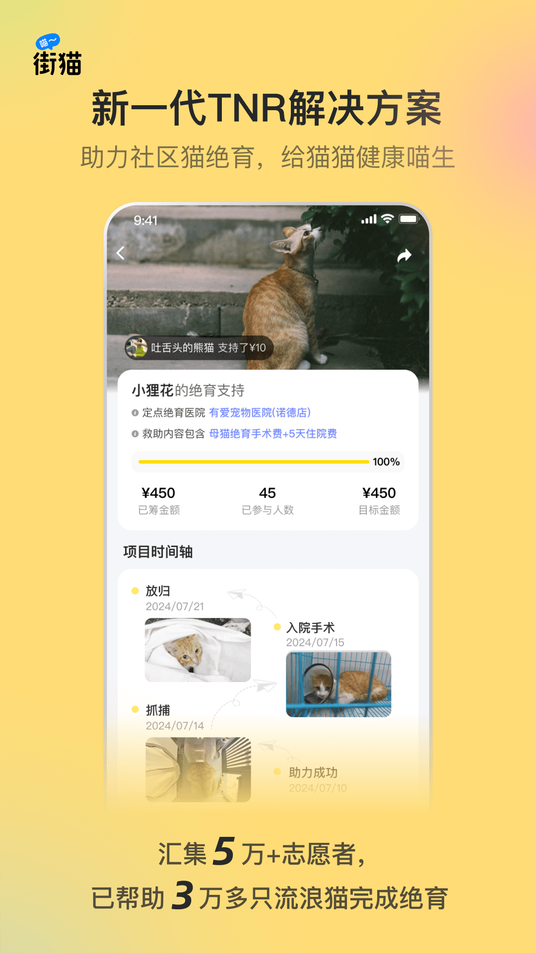 街猫 截图 2