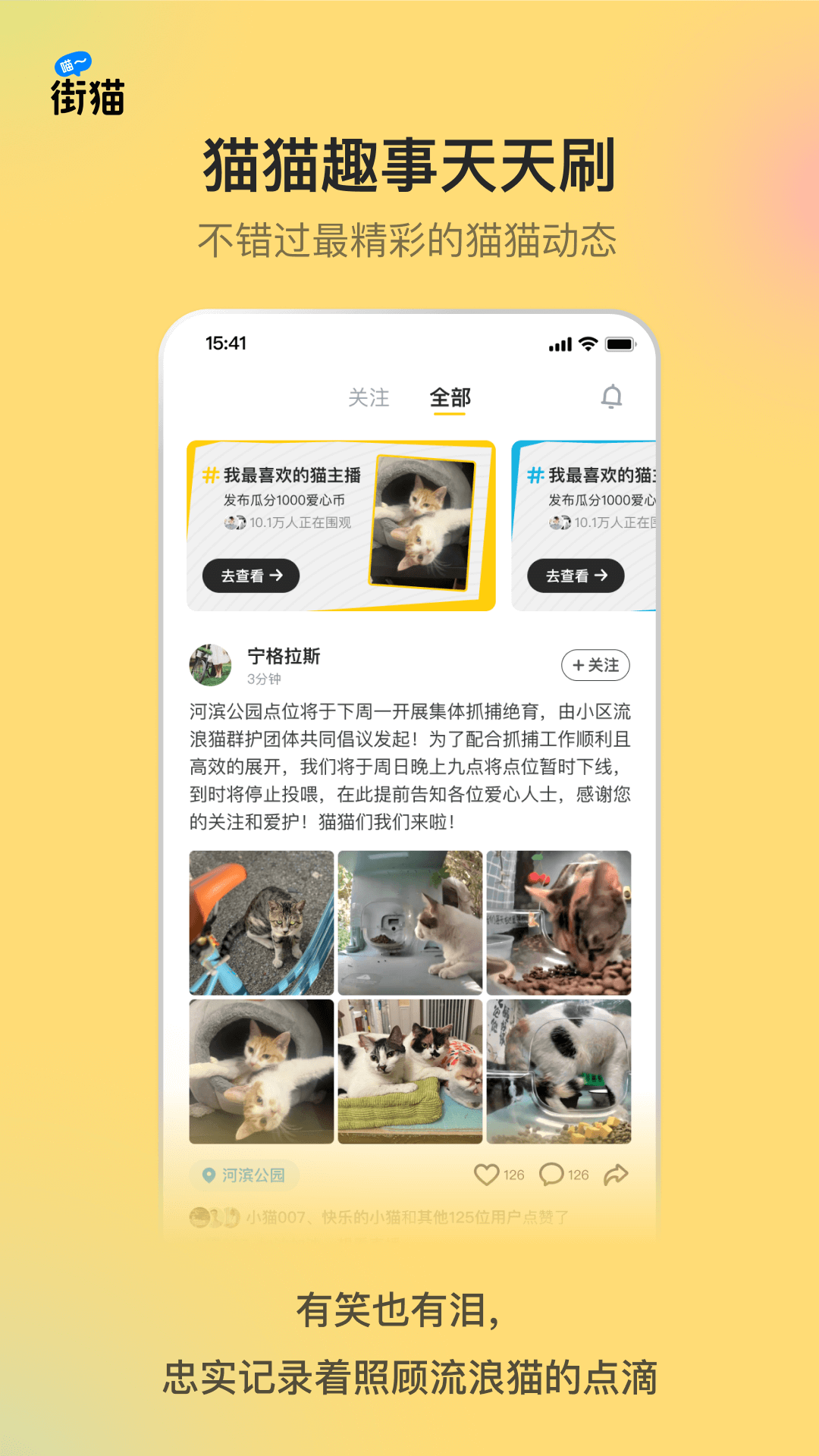 街猫 截图 5