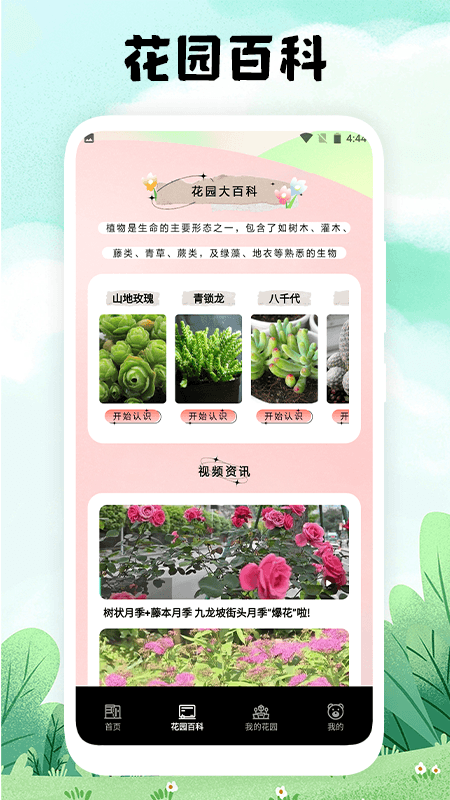 万物识图大师 截图 3
