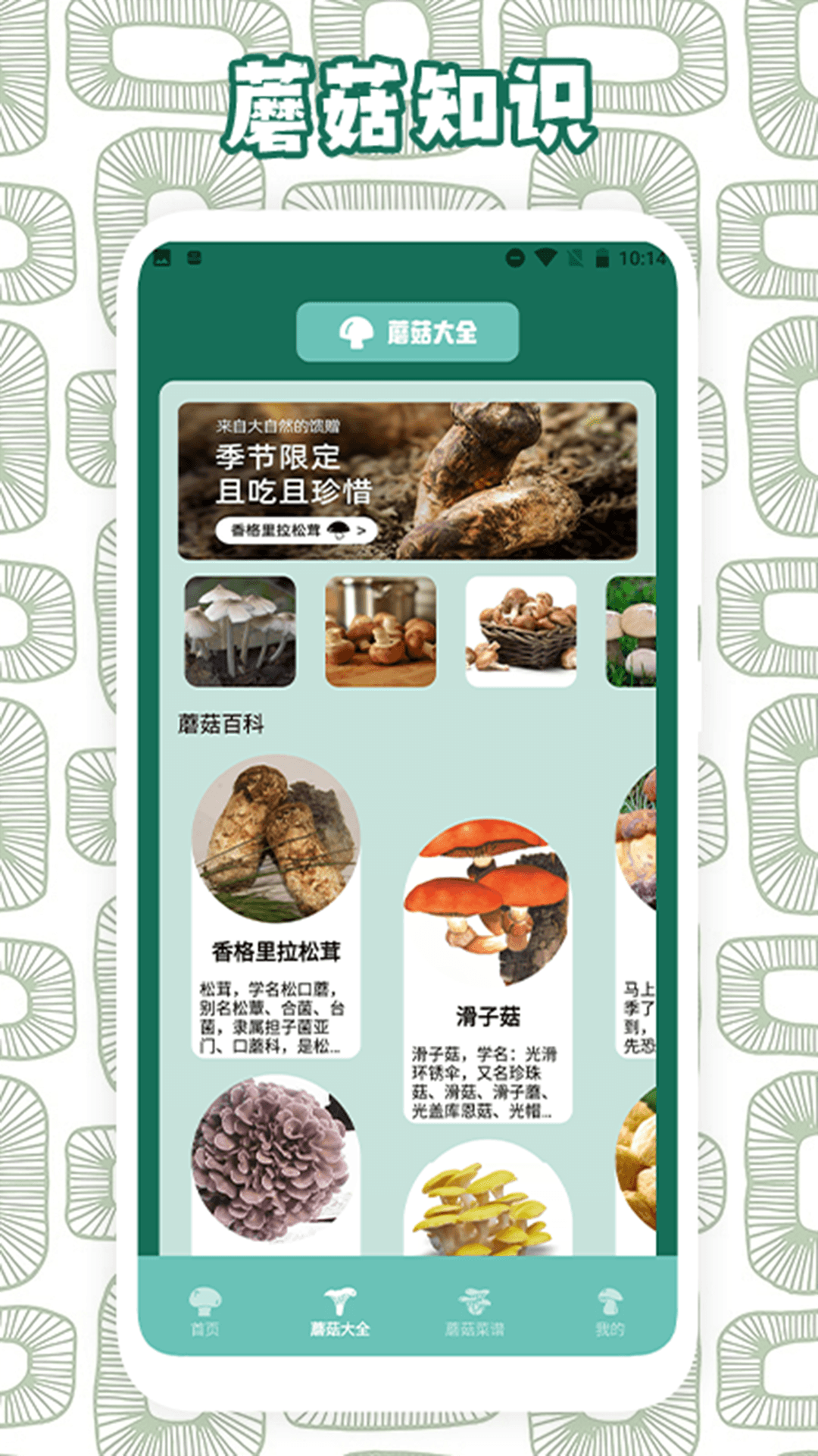蘑菇识别 截图 2