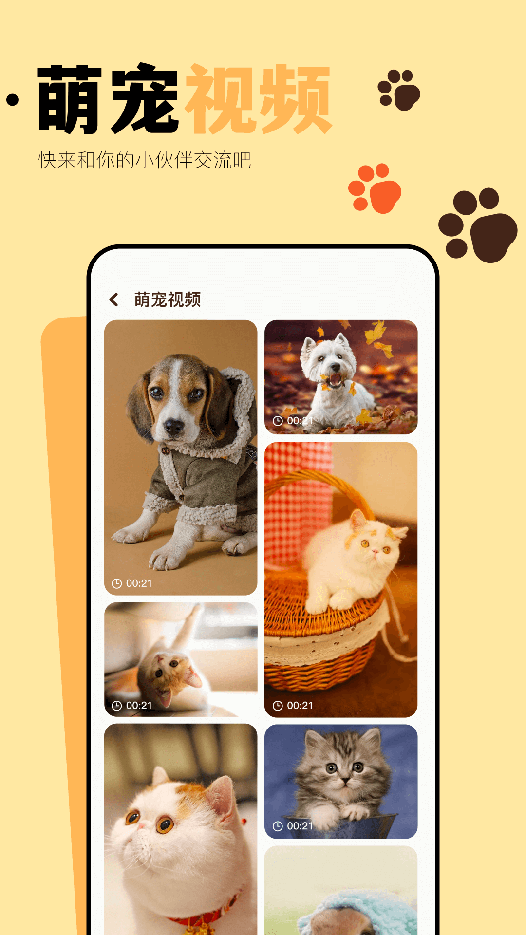 猫咪聊天翻译器 截图 4