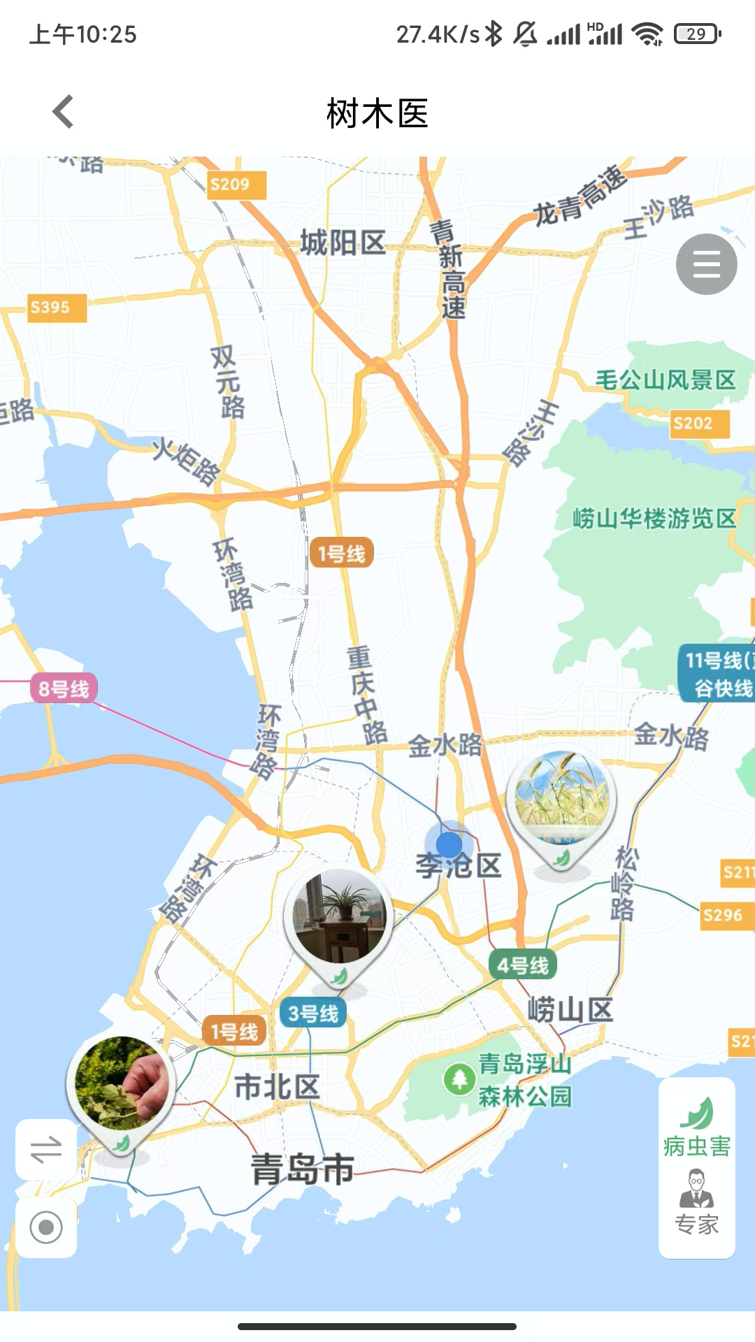 树木医 截图 2