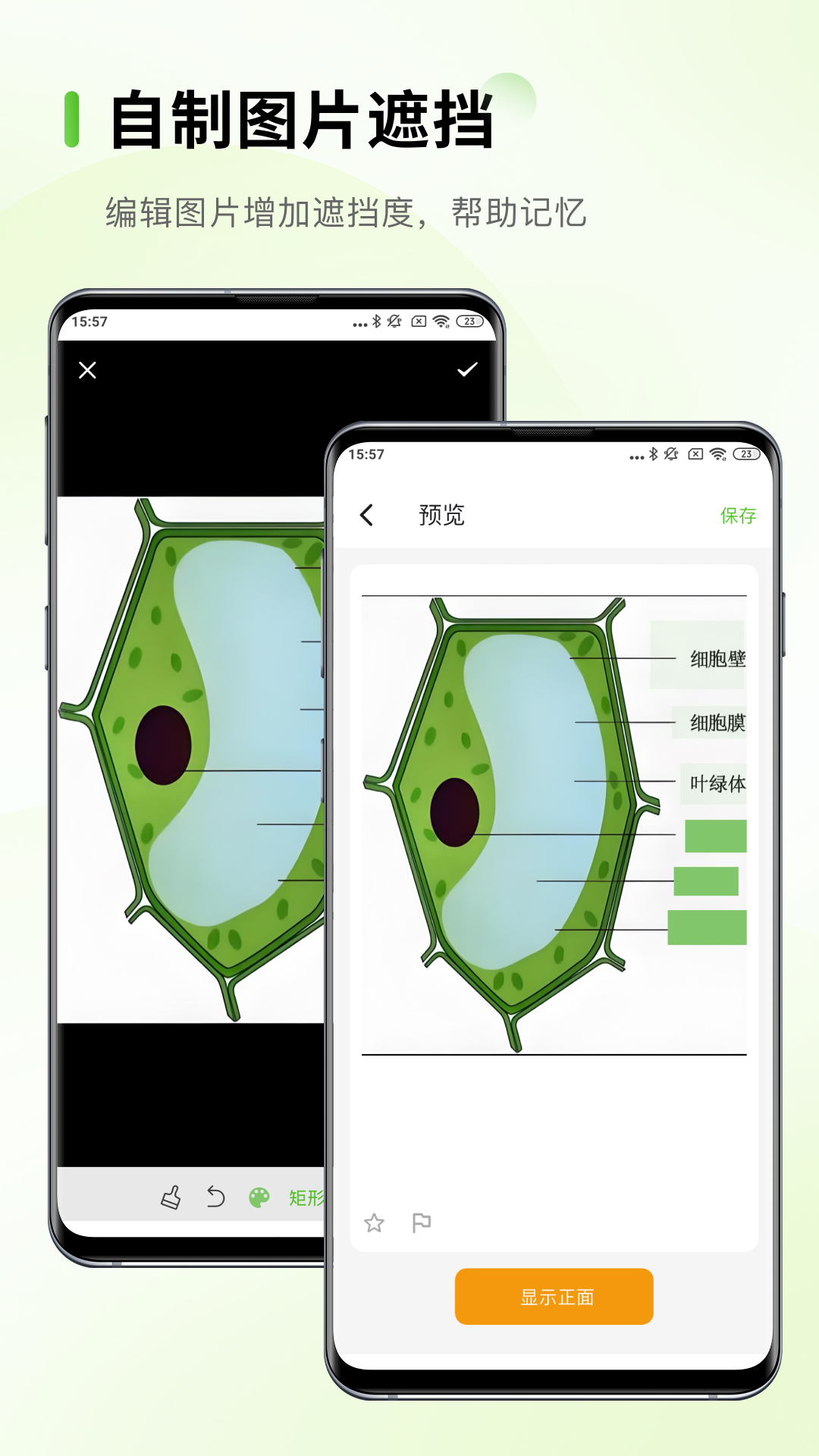 Anymo 截图 4