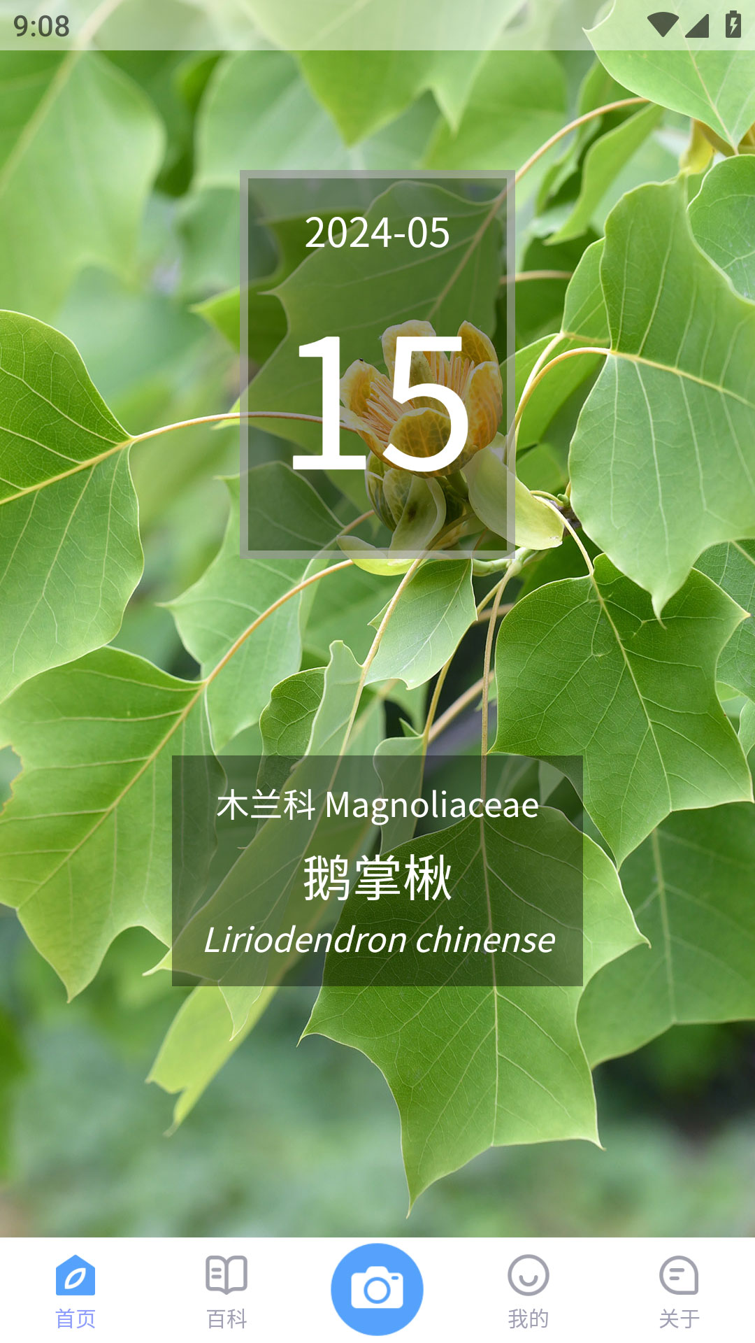 花伴侣专业版 截图 1