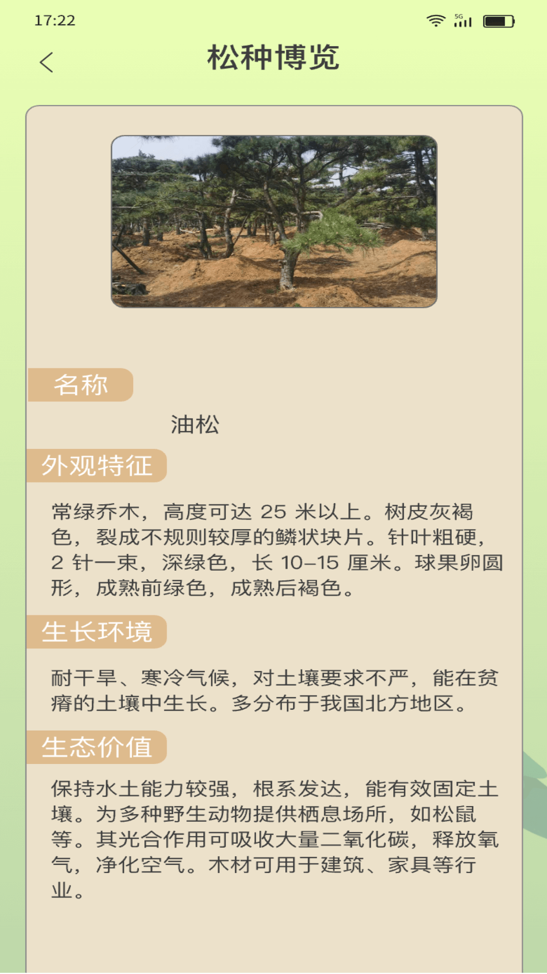 金松迎瑞 截图 5