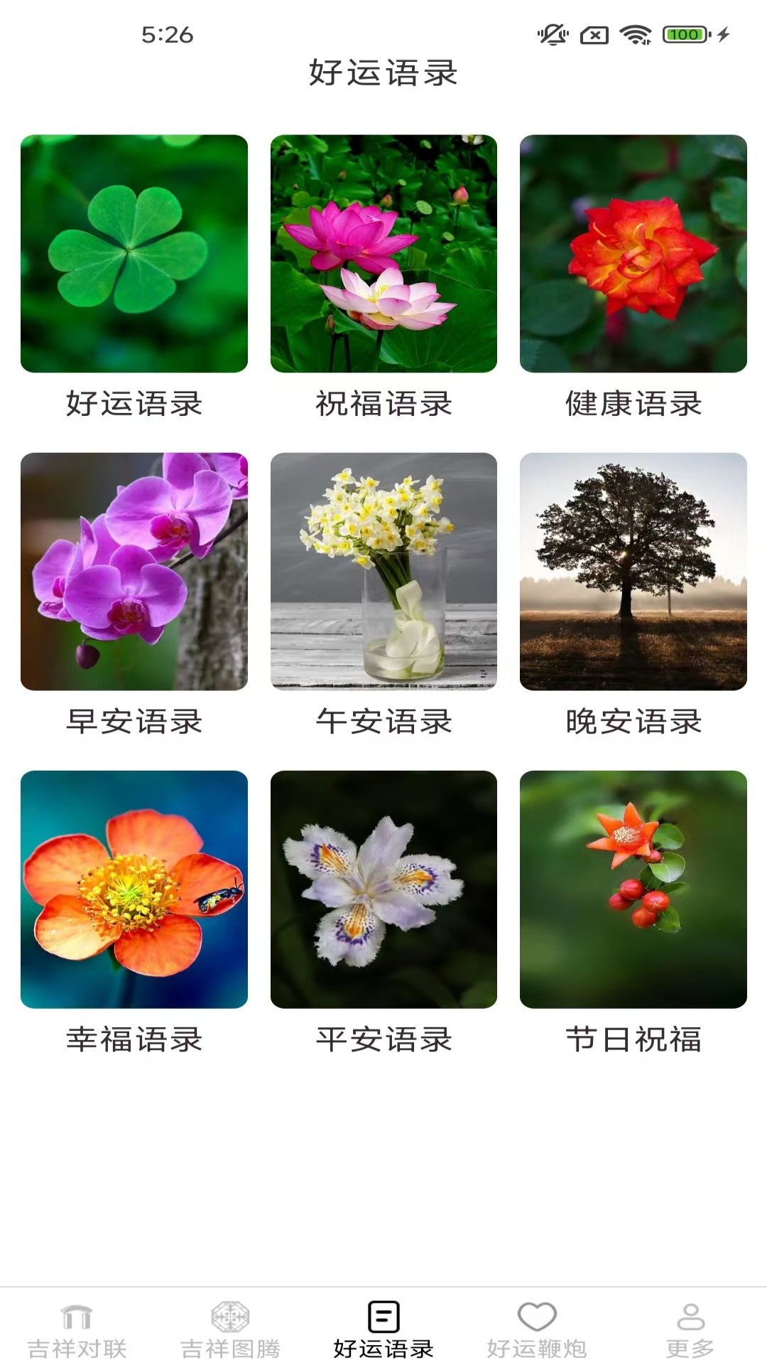 吉祥有好运 截图 3