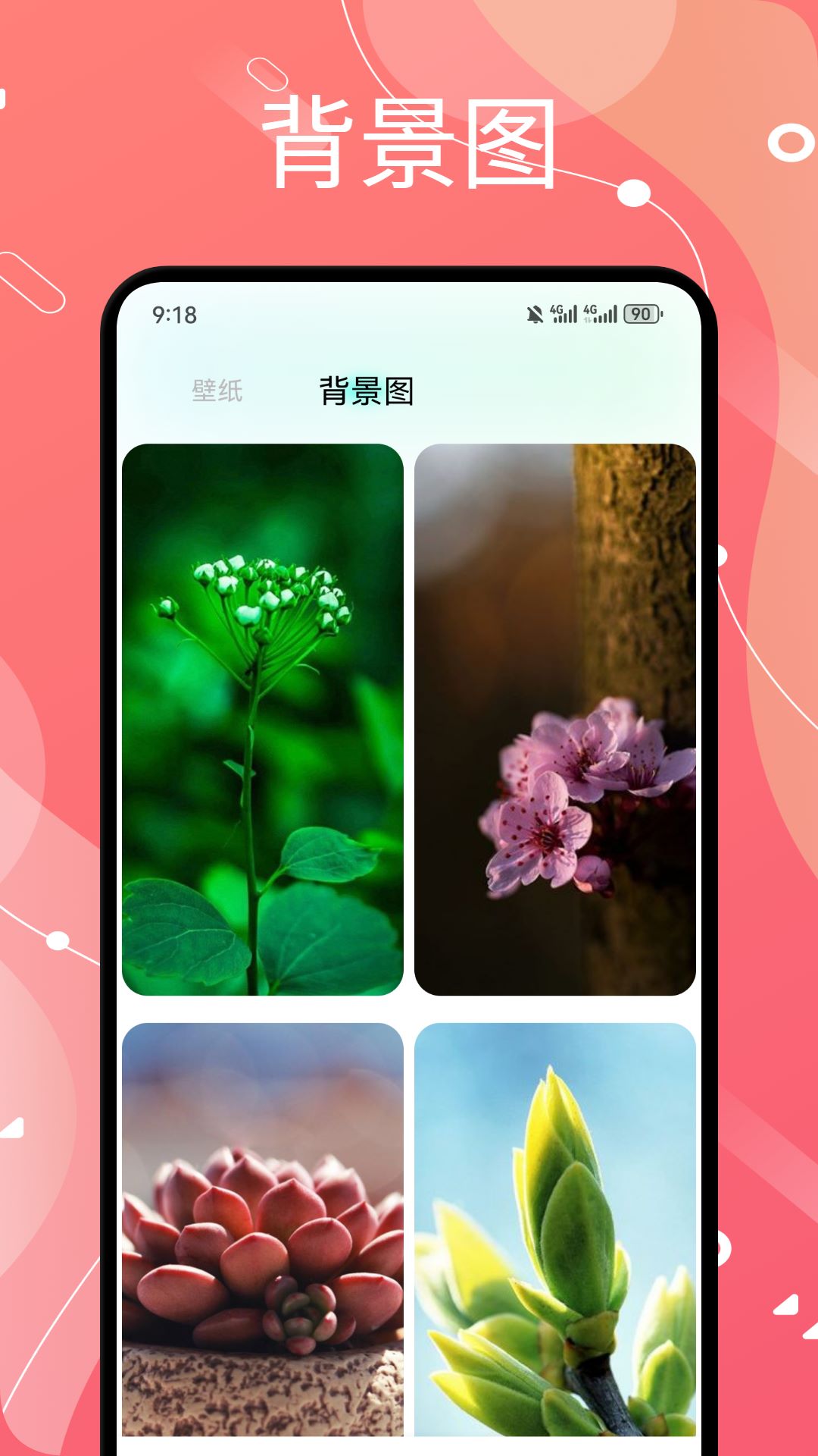 西西壁纸 截图 4