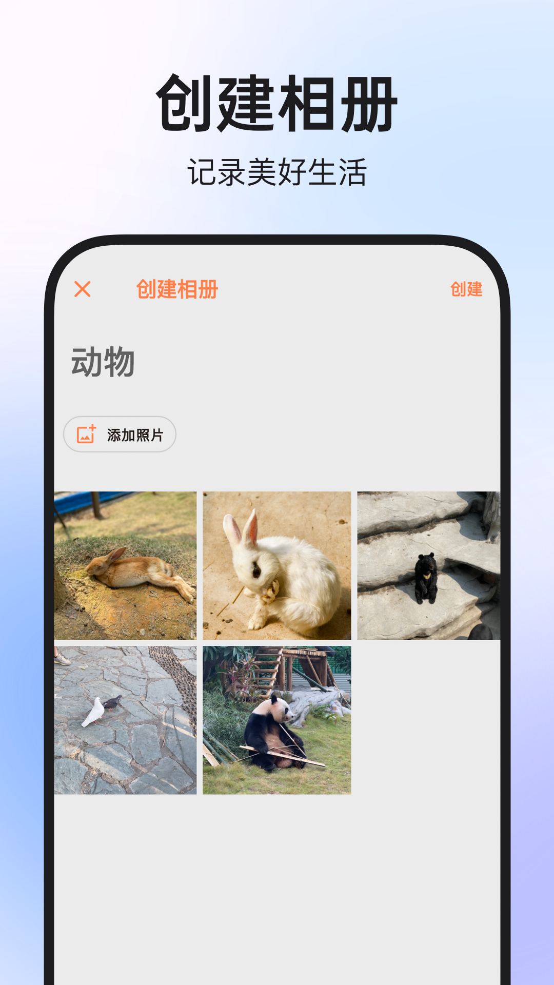 图公主 截图 4