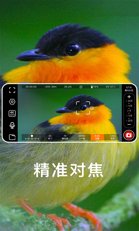 快映拍摄 截图 2