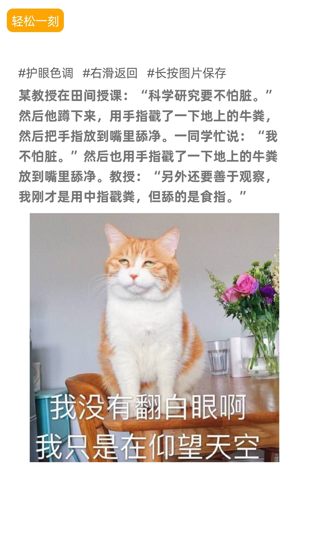 哈哈精灵 截图 4