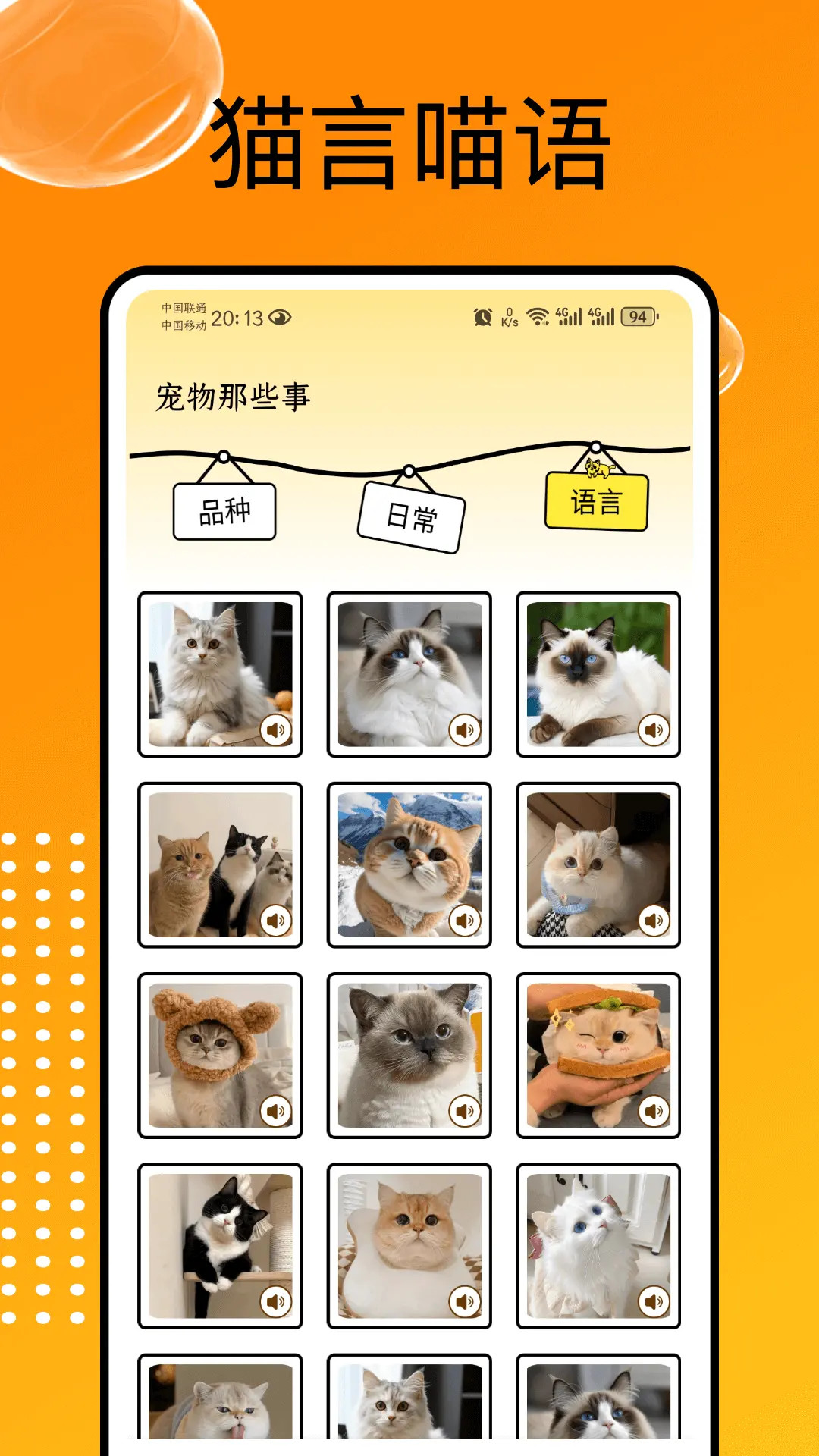 猫和 截图 4