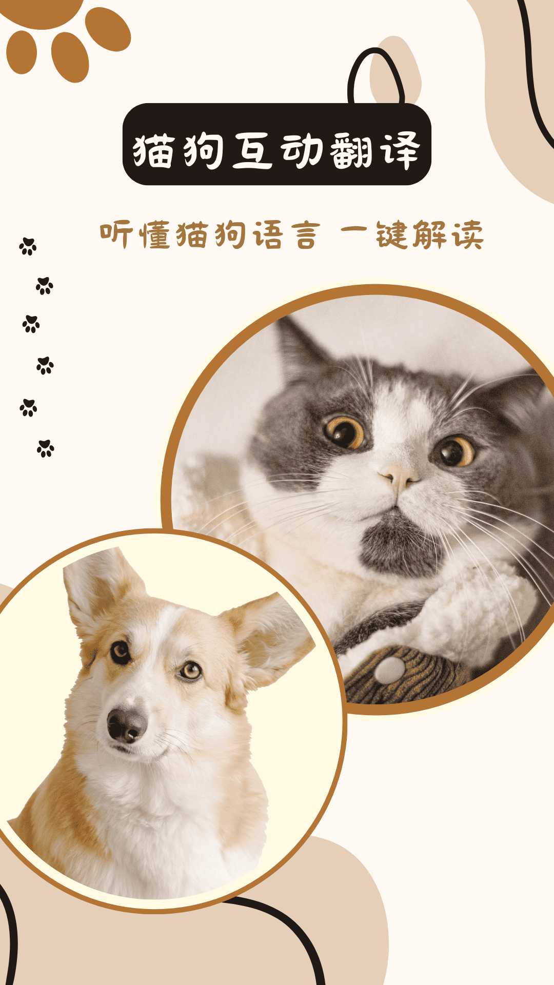 猫狗互动翻译 截图 1