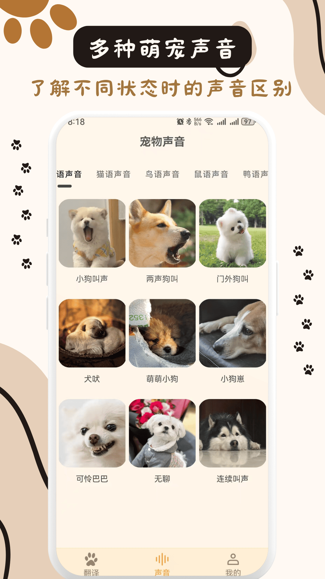 猫狗互动翻译 截图 4