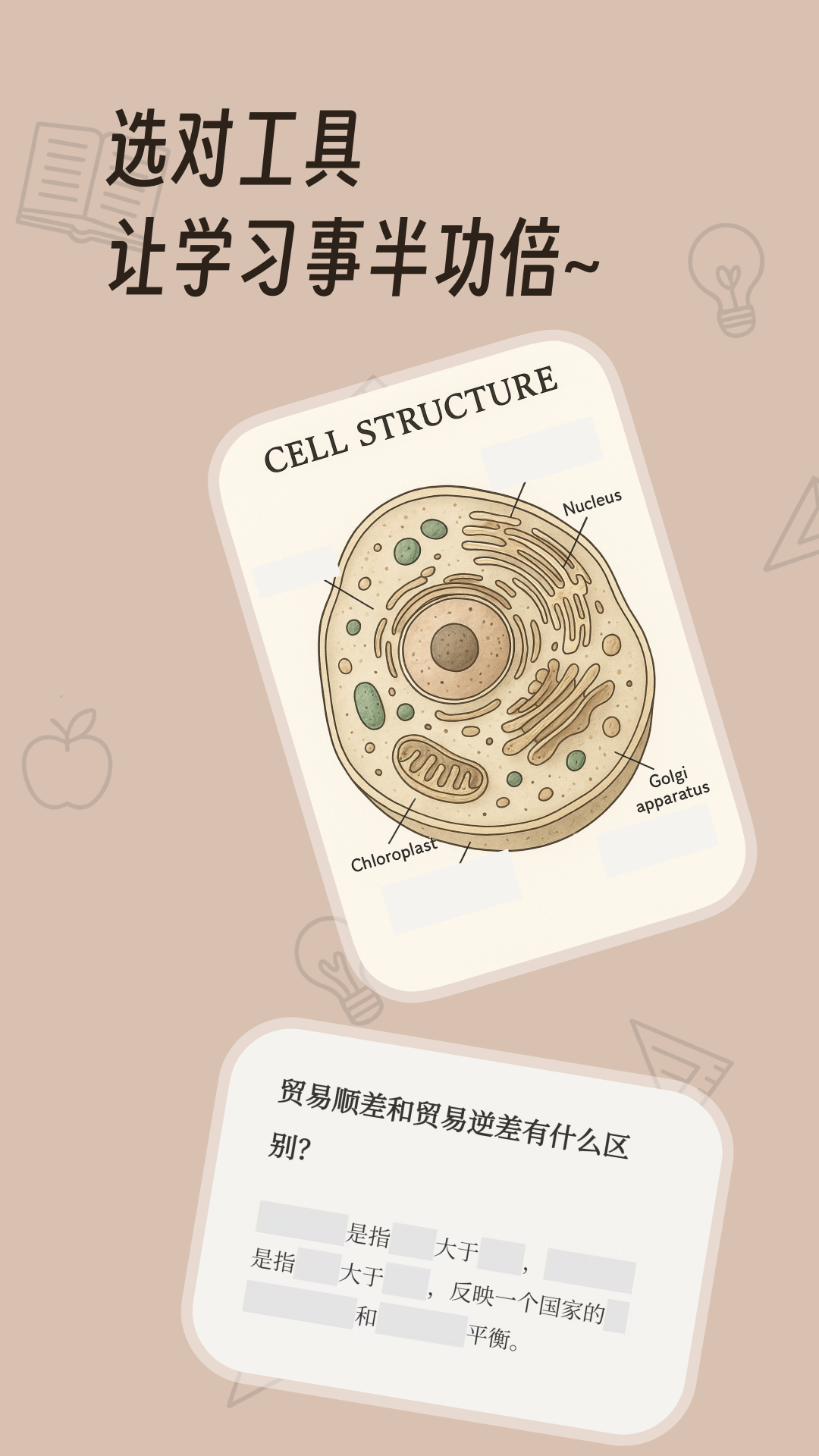 noolingo 截图 1