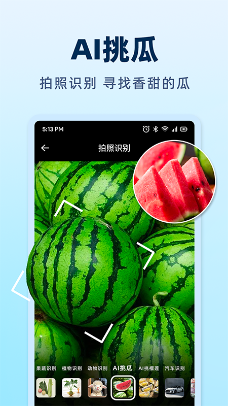 AI挑水果 截图 1