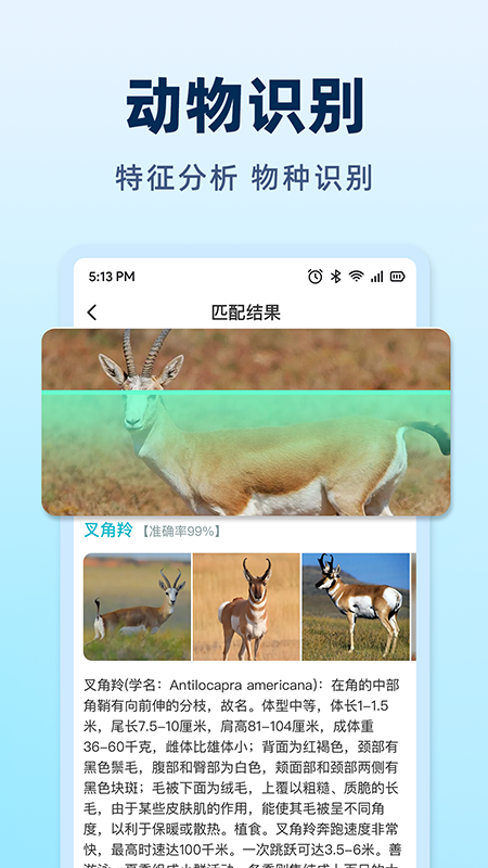 AI挑水果 截图 4