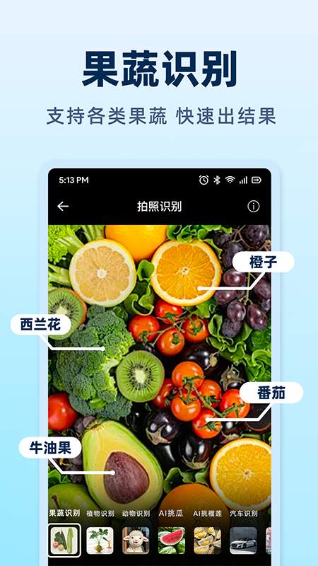 AI挑水果 截图 5