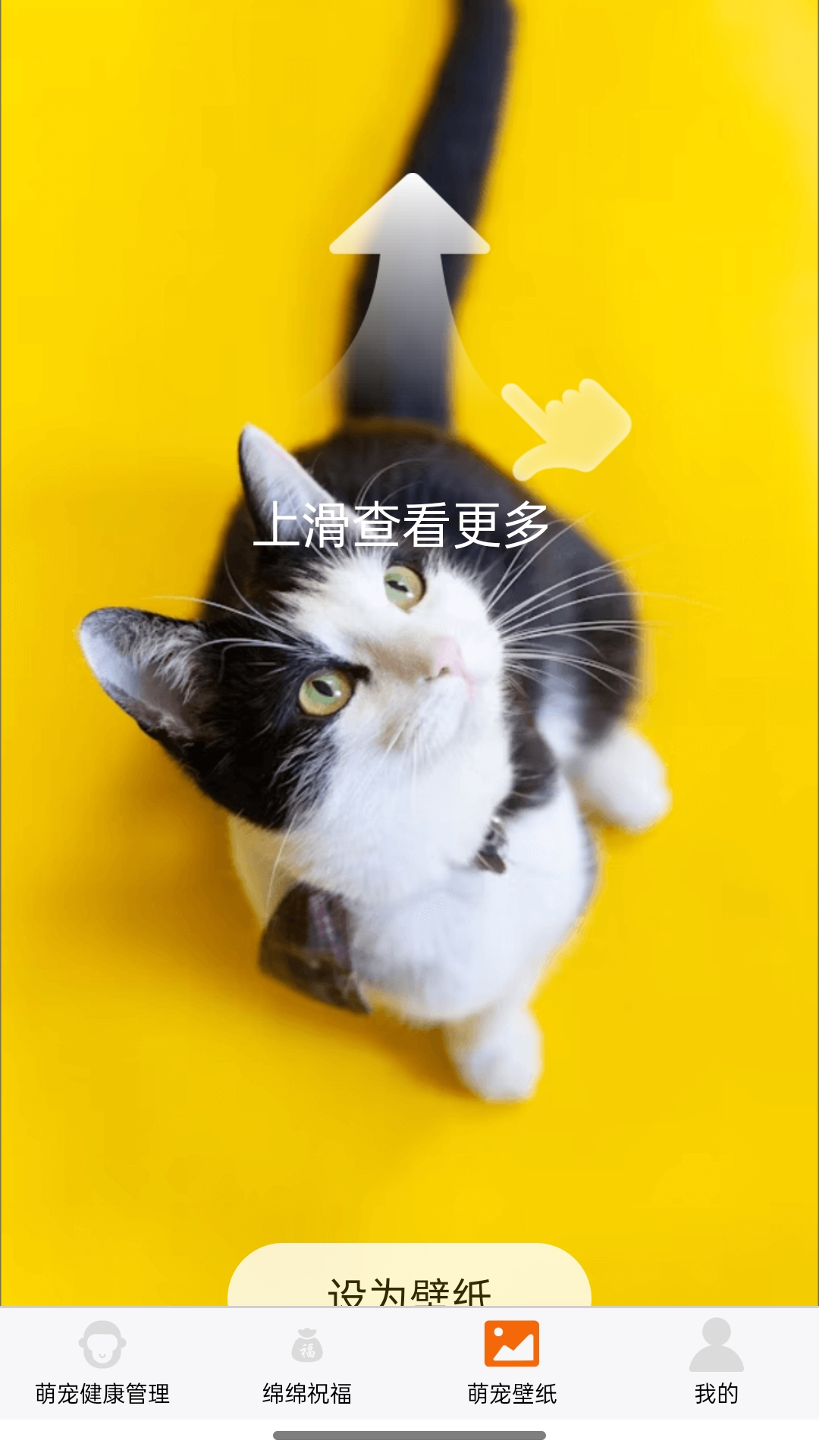 猴瑞绵绵 截图 1