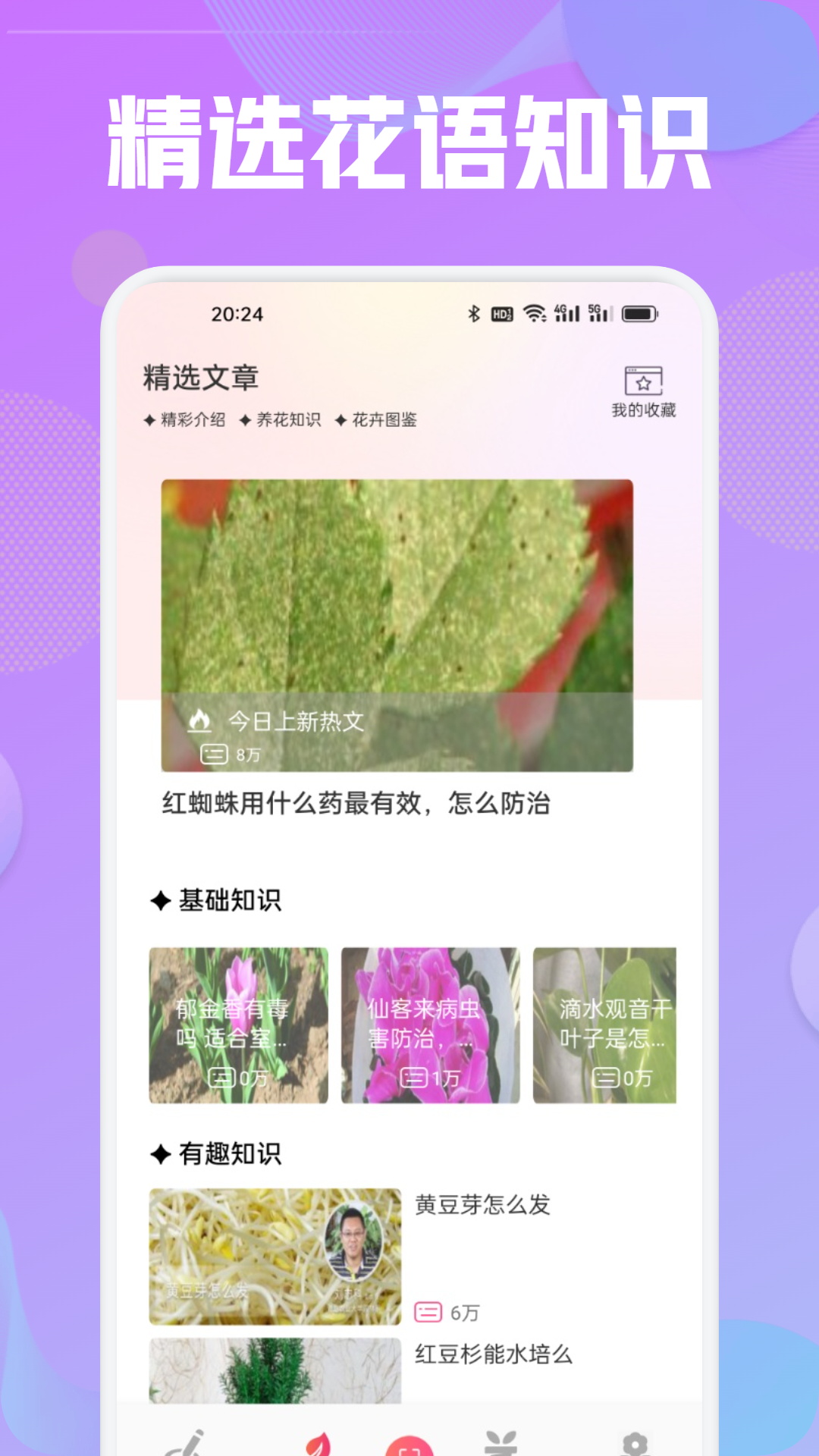 花语秀 截图 2