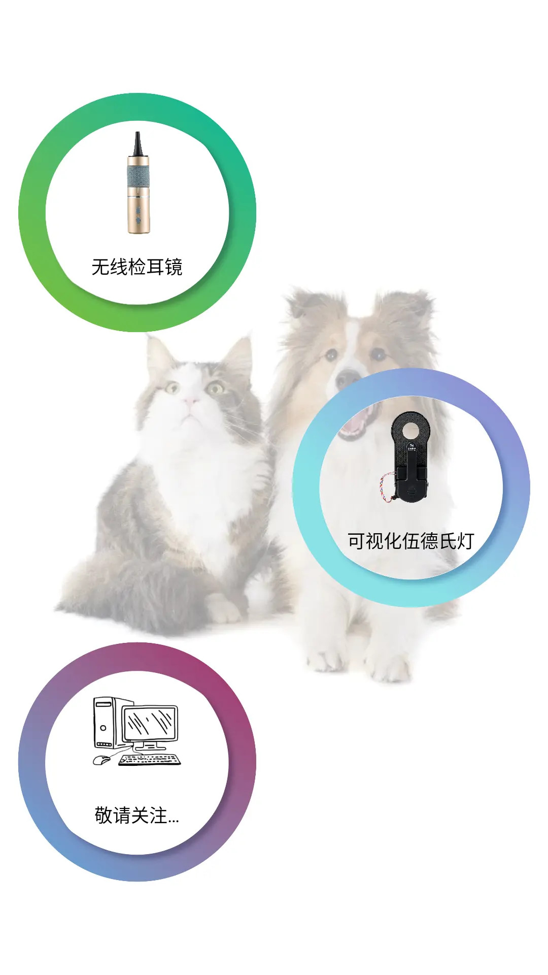 睫美科技 截图 1