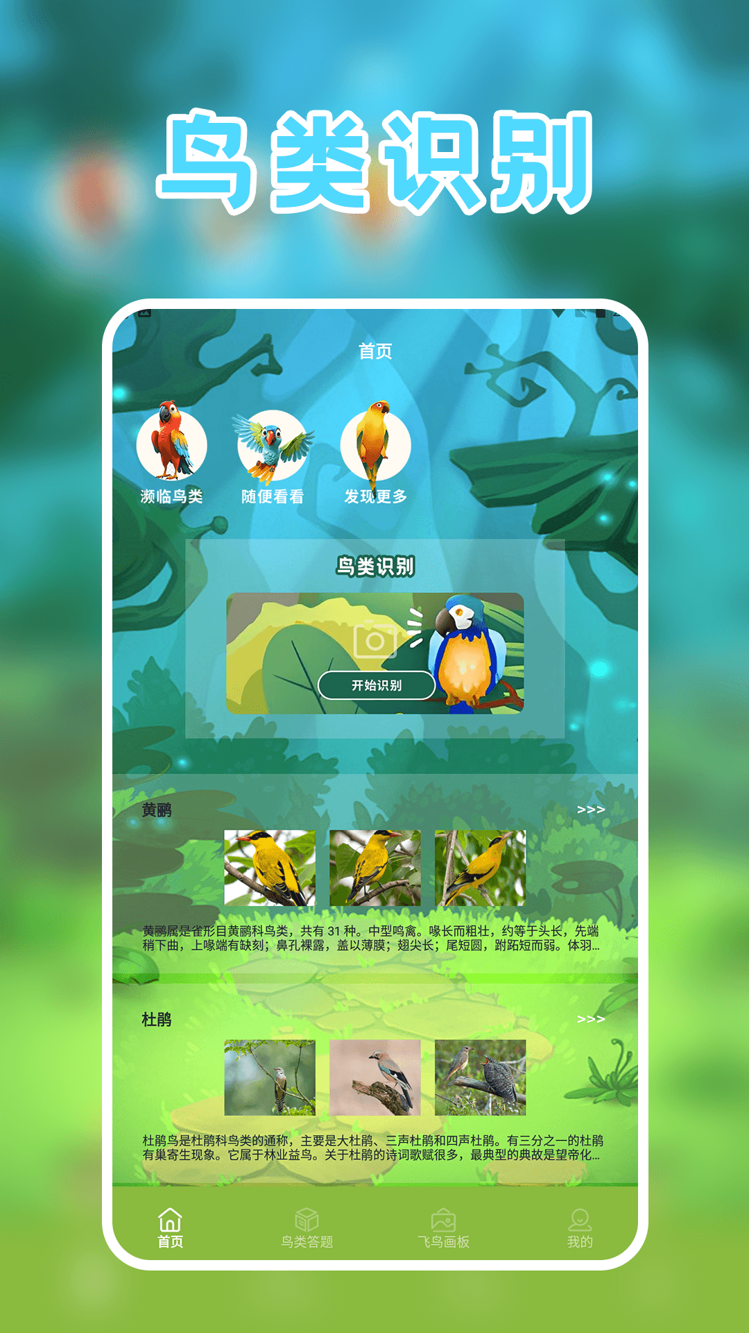 孤独的鸟 截图 1