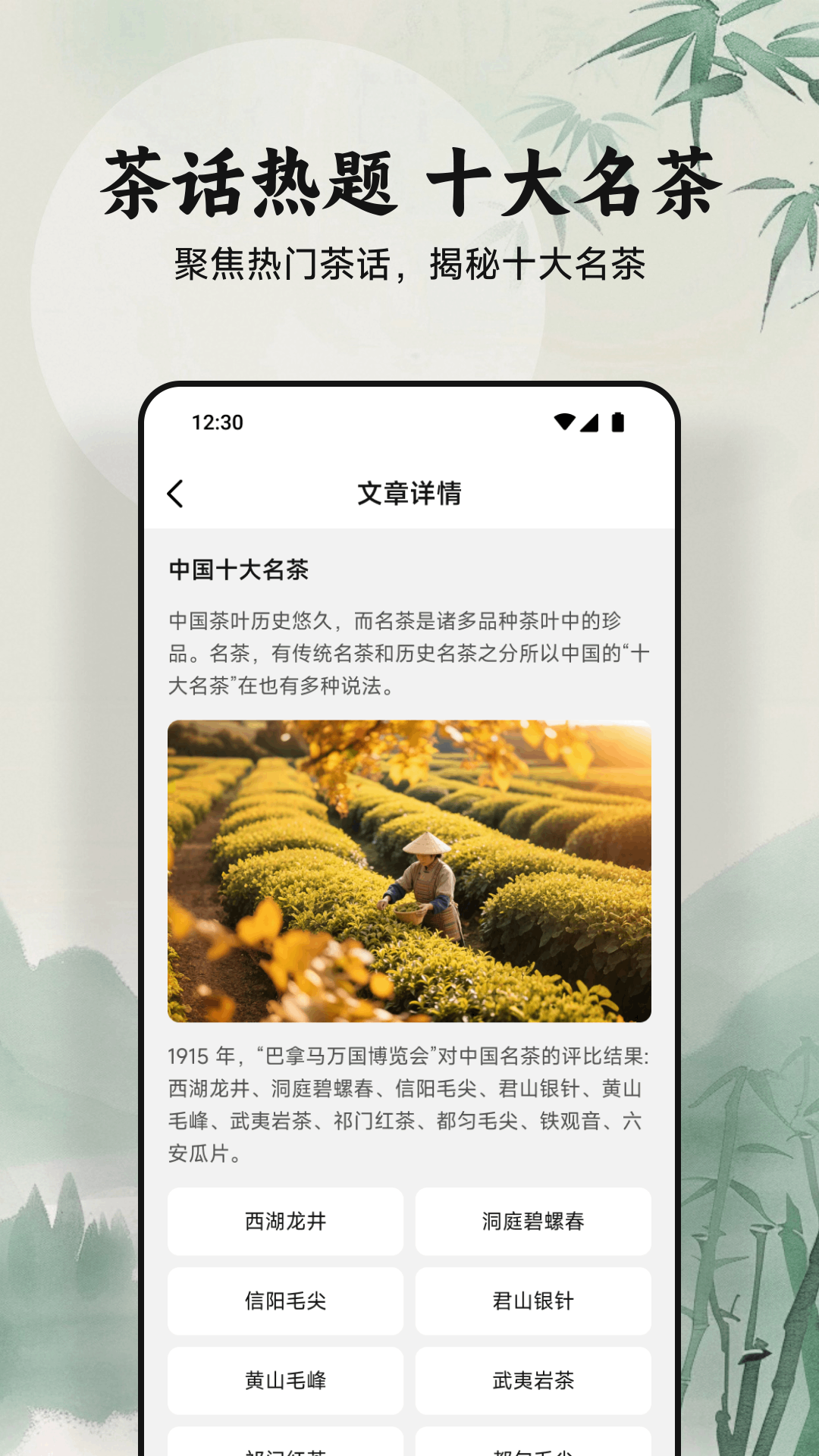 绿茶 截图 4