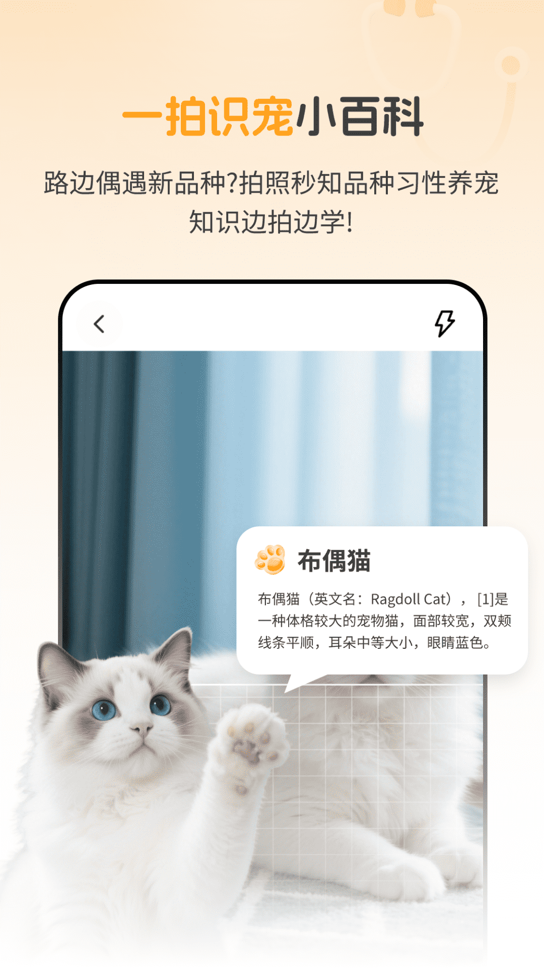 AI宠物问诊 截图 5