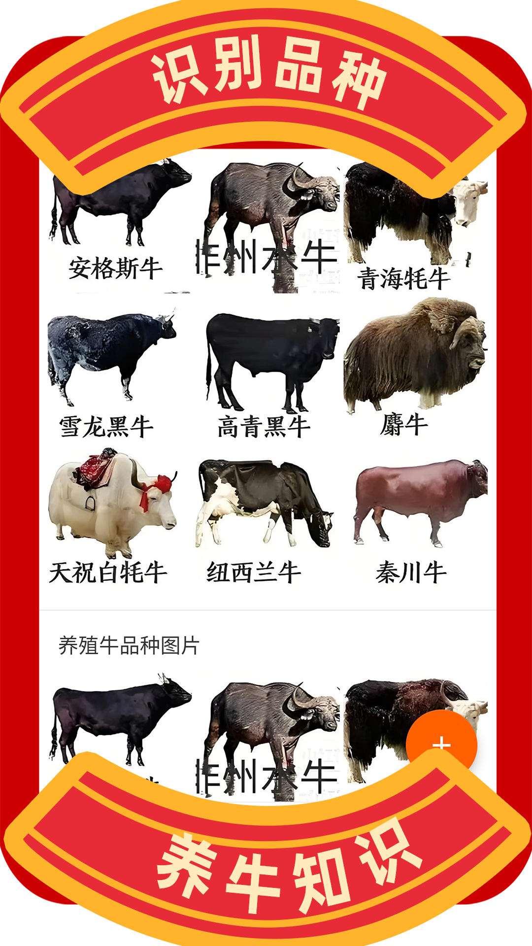 兼职养牛赚钱 截图 4