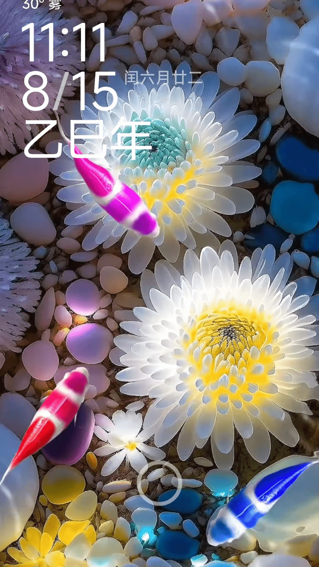 荷花锦鲤壁纸 截图 2