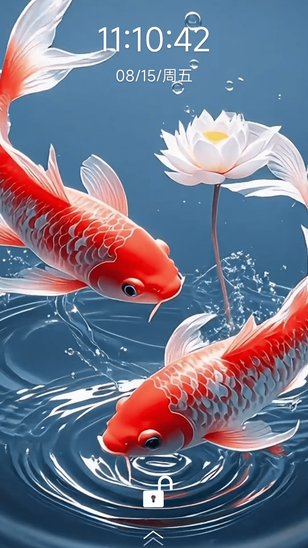 荷花锦鲤壁纸 截图 4