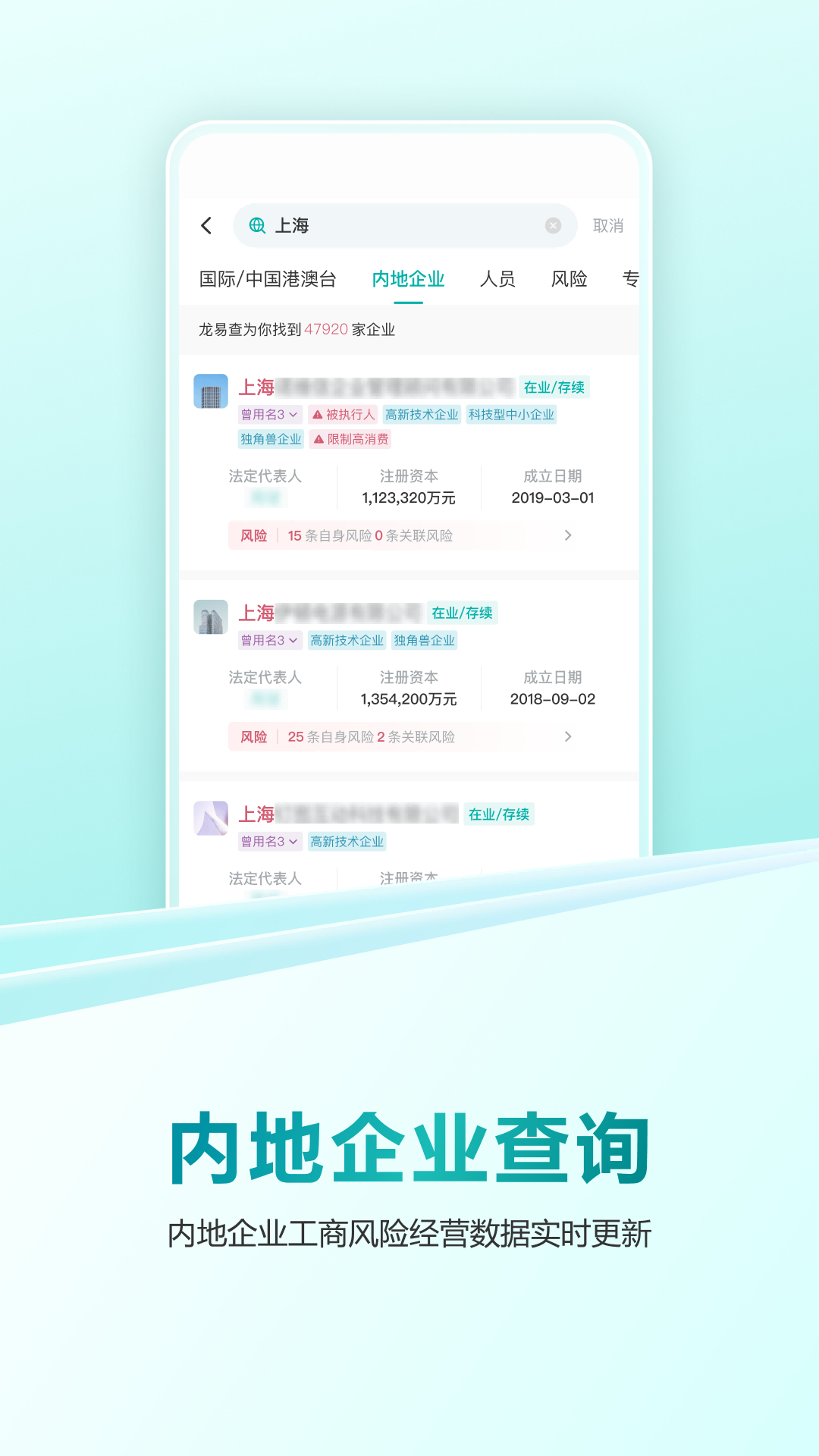 龙易查 截图 3