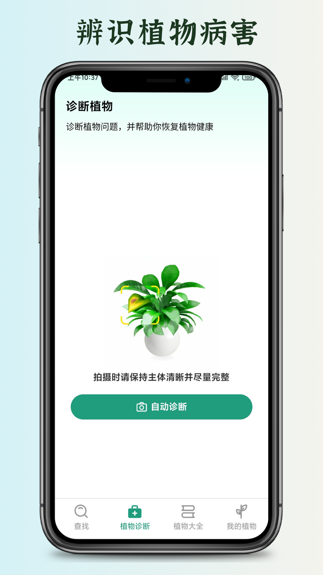 花草君 截图 1