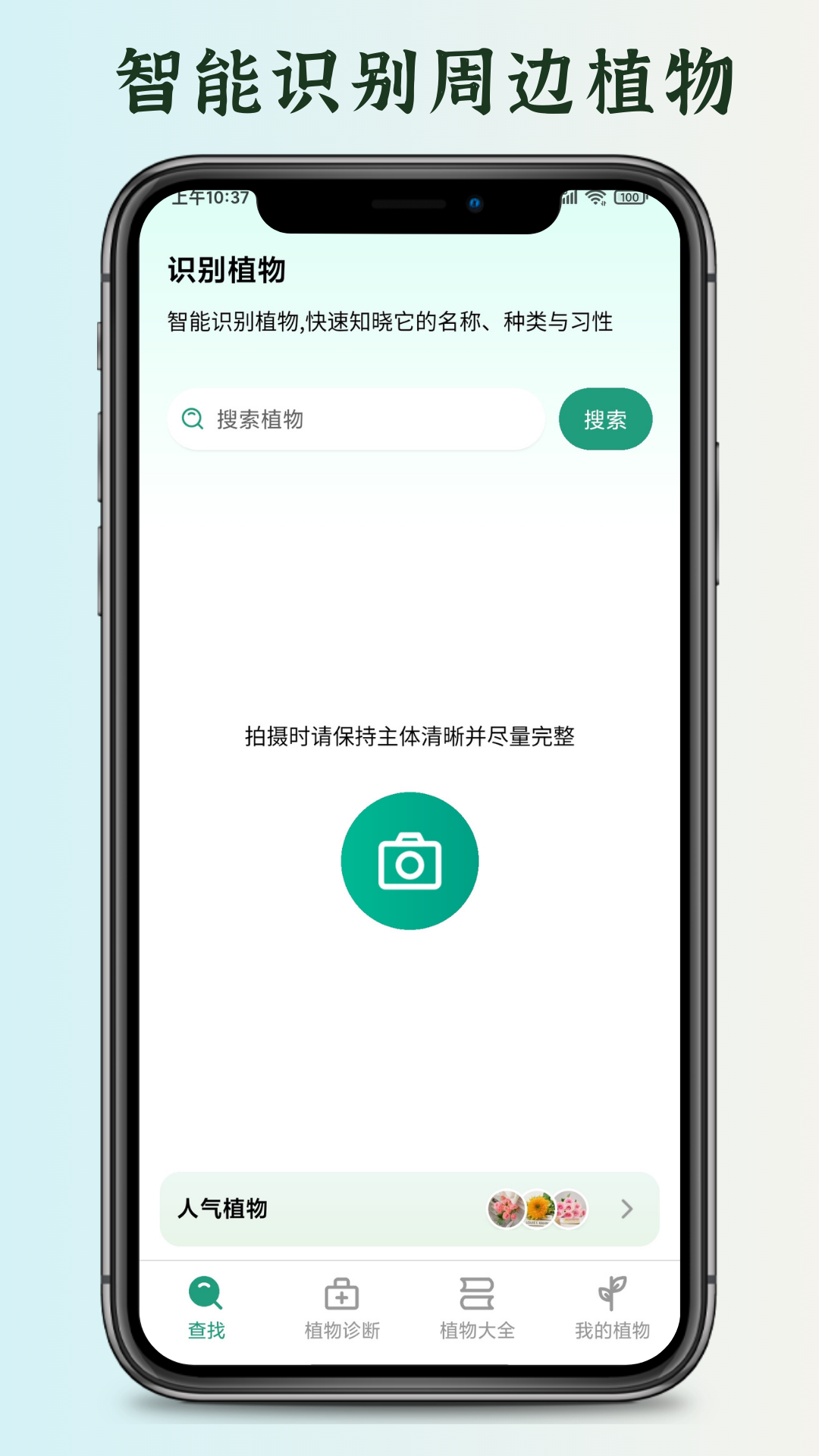 花草君 截图 2