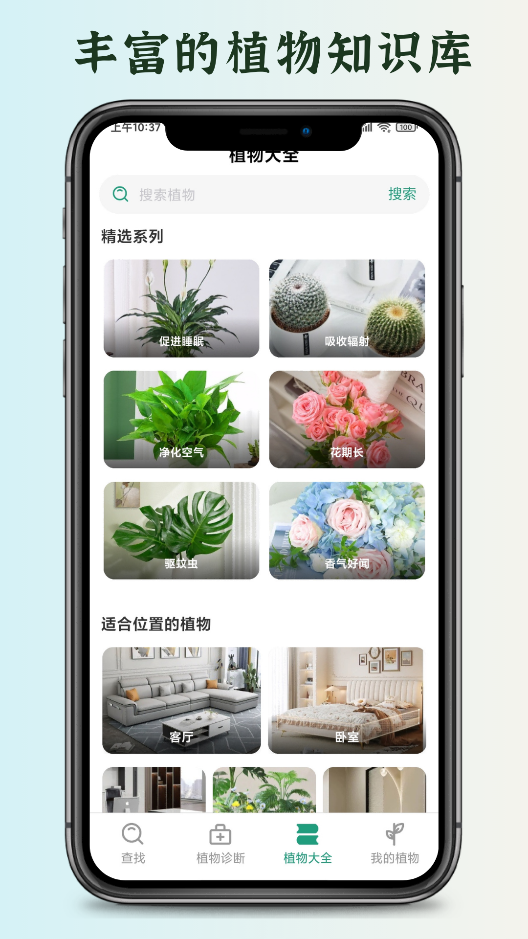 花草君 截图 3