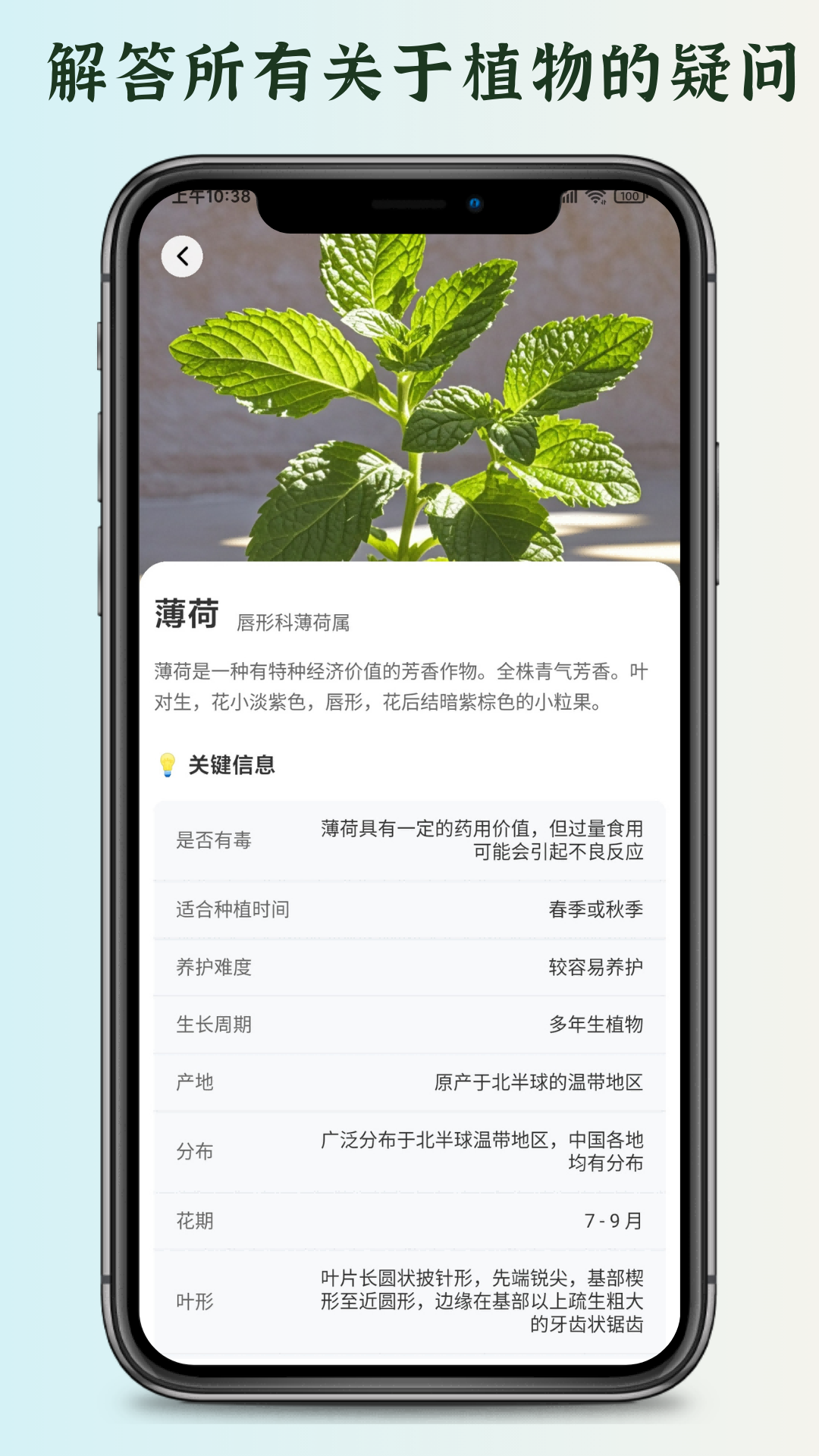 花草君 截图 4