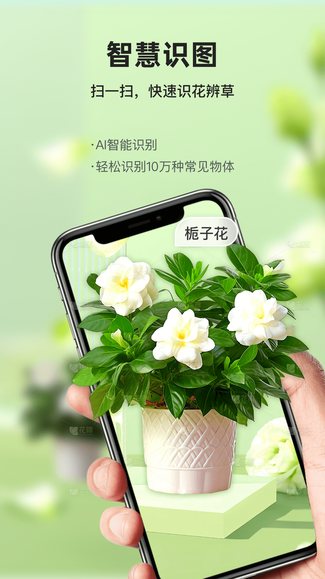 形色识花识草 截图 1