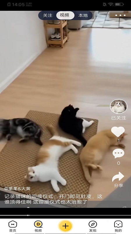 养宠汇 截图 2