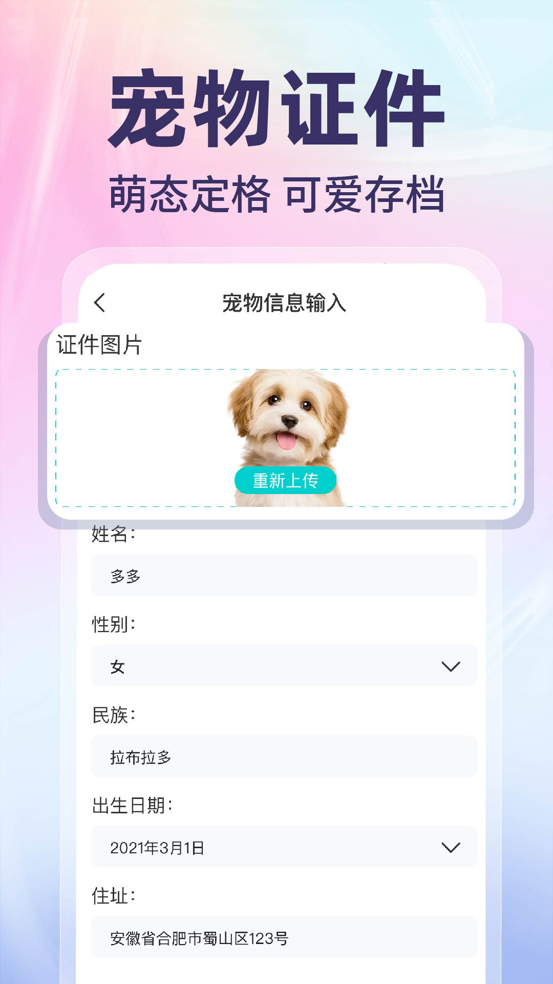 网络电子证件管家 截图 4