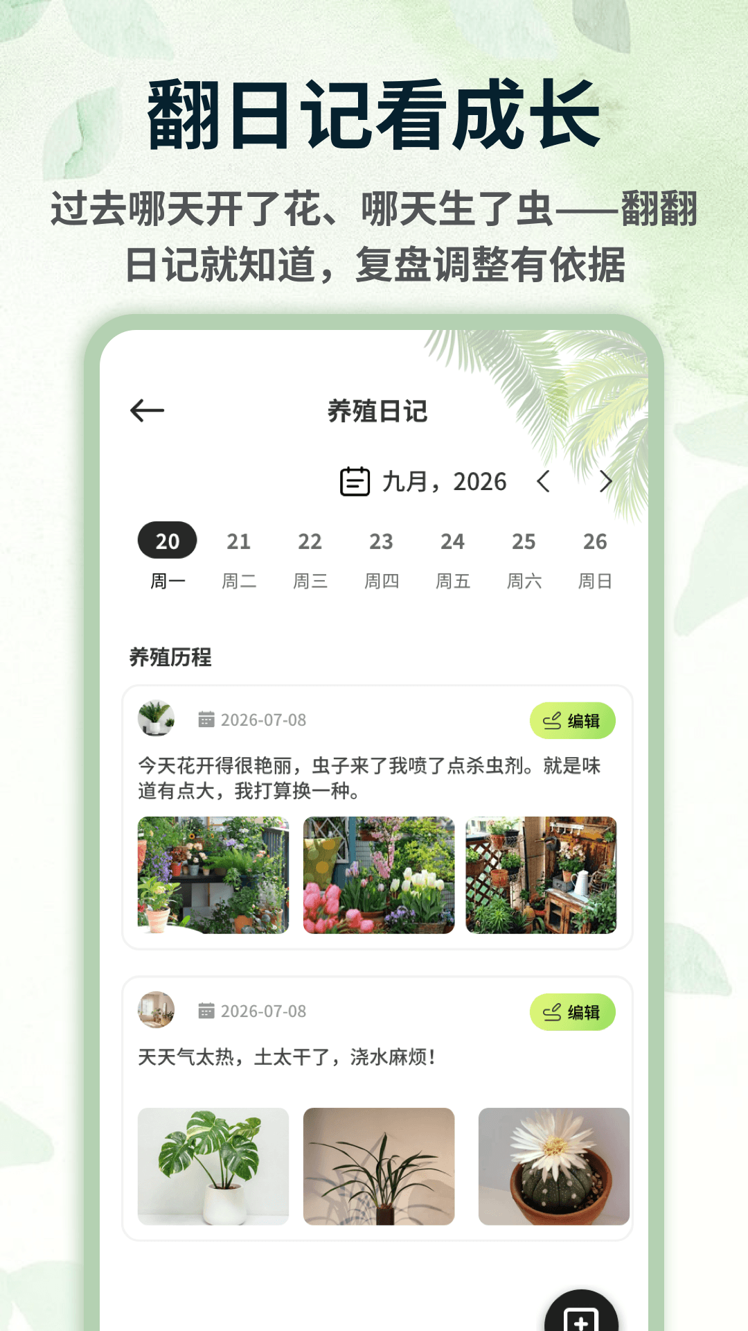 截图5