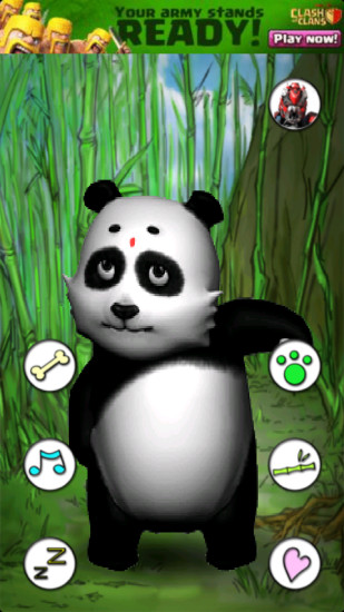 免費下載休閒APP|会说话的熊猫 app開箱文|APP開箱王