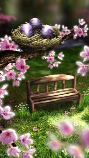 【免費攝影App】季禅动态壁纸(Season Zen) 高清版 v1.6-APP點子