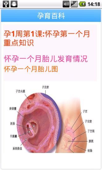 免費下載健康APP|孕育百科 app開箱文|APP開箱王