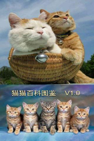 猫猫百科图鉴