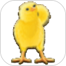 Talking Chicken 鸿蒙版
