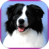 app-Logo